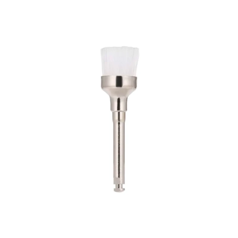 Brush Prophyl - فراشي تنظيف